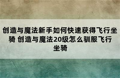 创造与魔法新手如何快速获得飞行坐骑 创造与魔法20级怎么驯服飞行坐骑